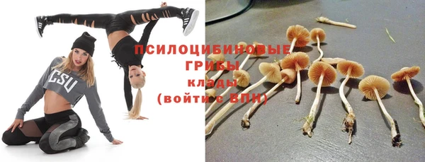 сатива Волоколамск