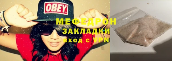стаф Верея