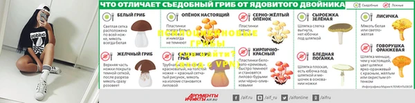 стаф Верея