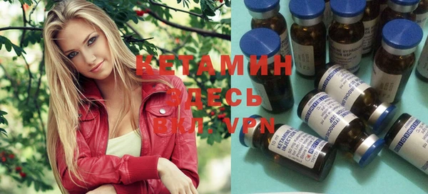 стаф Верея