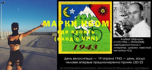 стаф Верея