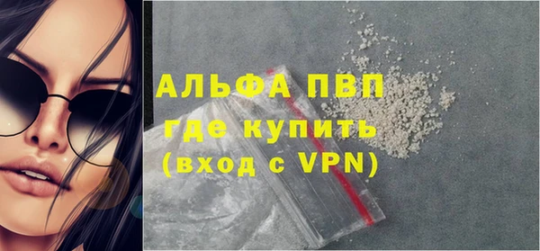 сатива Волоколамск