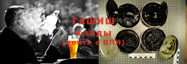 стаф Верея
